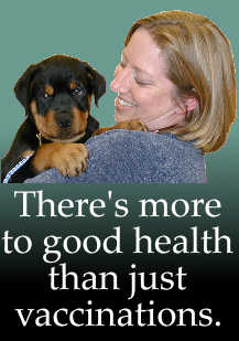 Mount Vernon veterinary hospital for pets offering examinations, diagnostics, laser surgery, kitten & puppy health, dentals, determatology, microchips and more.